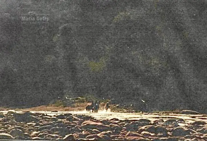 Campo en venta Anta Salta 5