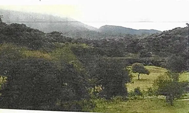 Campo en venta Anta Salta 1