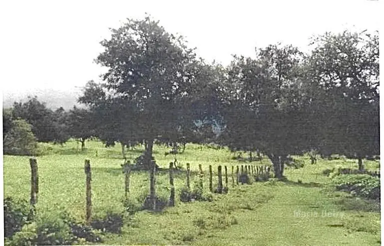 Campo en venta Anta Salta 2