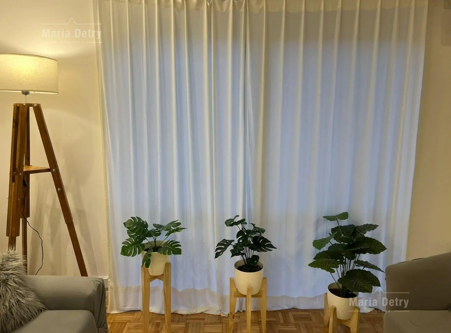 Departamento Mono Divino 4