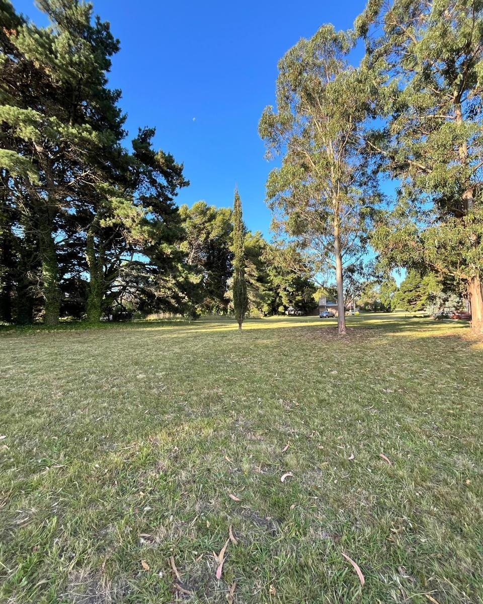 6 Lotes en Las Lomas de Miramar - Excelente Ubicación 2