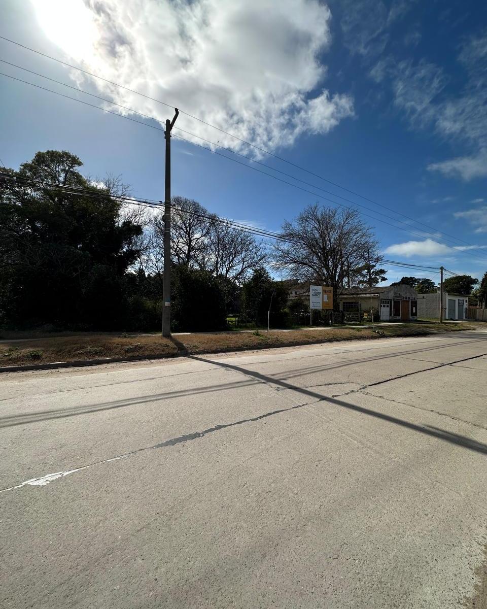 5 Lotes de Terreno Baldío + Galpón y Vivienda en Bloque o Separado. 4