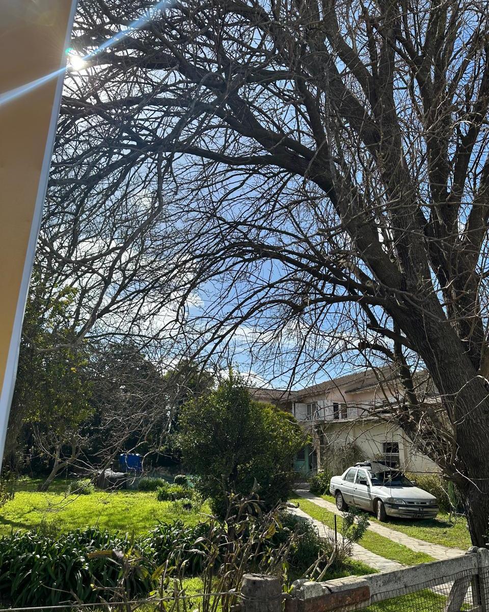 5 Lotes de Terreno Baldío + Galpón y Vivienda en Bloque o Separado. 5