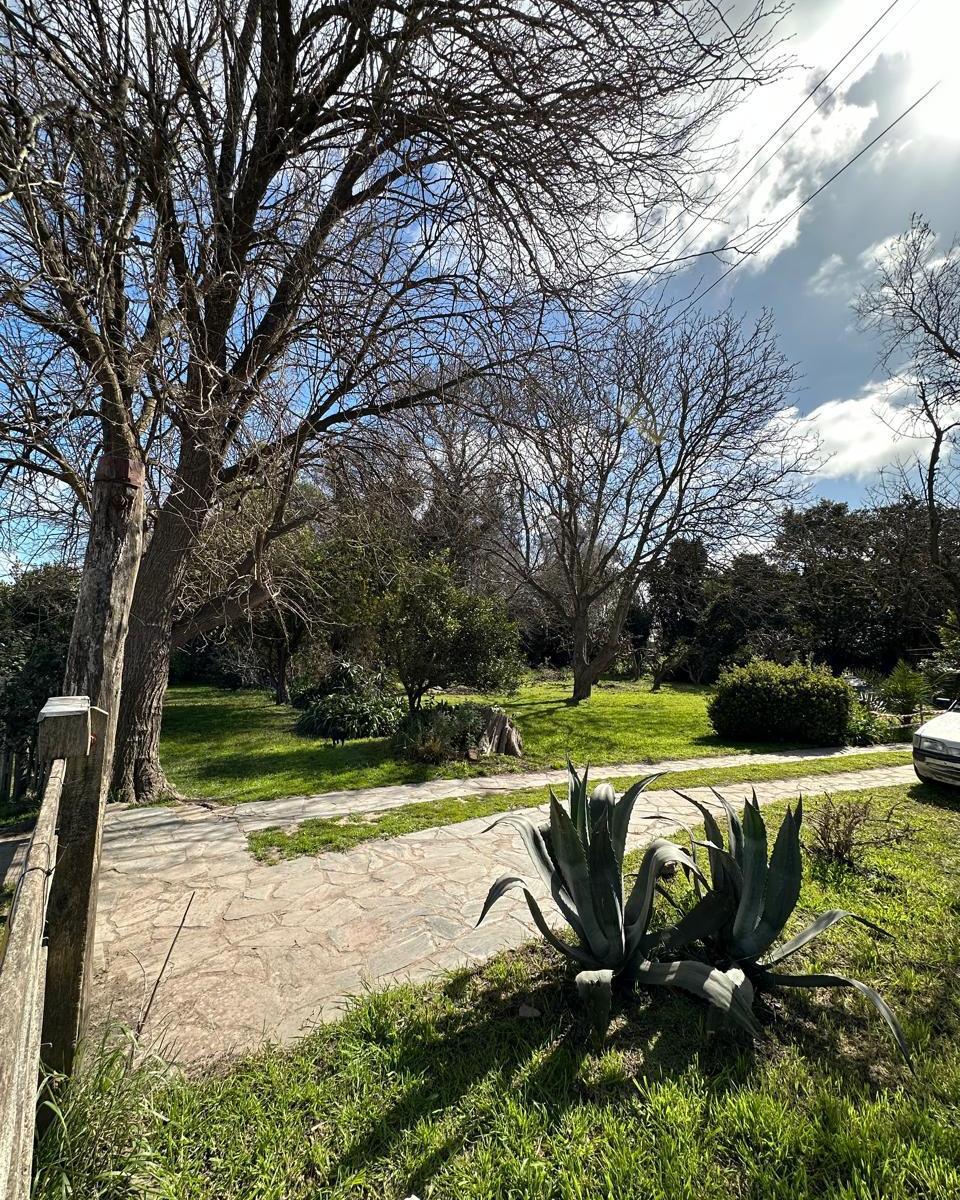 5 Lotes de Terreno Baldío + Galpón y Vivienda en Bloque o Separado. 3