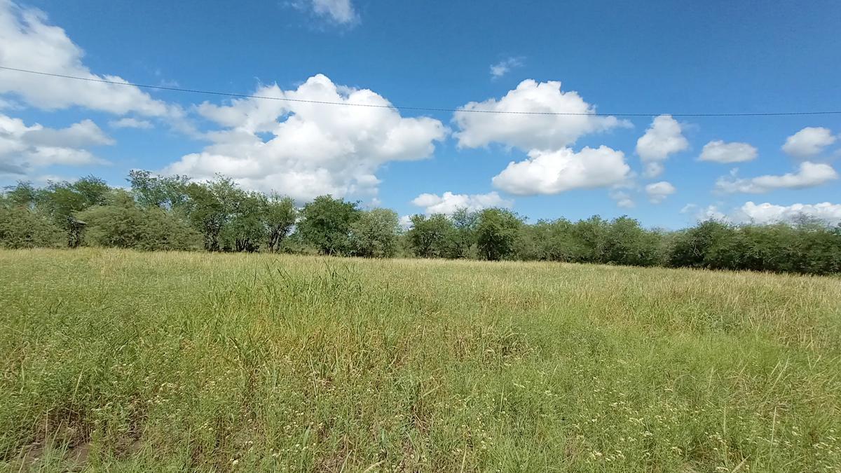 Último Terreno Plano Disponible a La Venta Entre Villa de Las Rosas y San Javier, Traslasierra 2