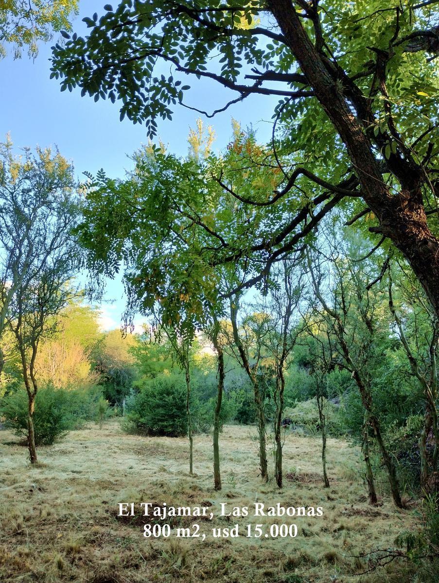 Terrenos en Promoción en Villa de Las Rosas y Alrededores 3