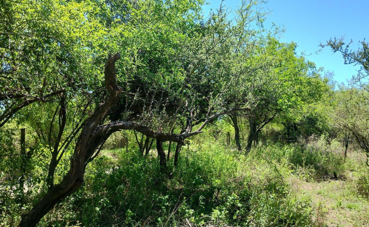 Foto de Venta Hermoso Lote de 2400 m2 con vista Increíble a las Sierras|, imagen 5