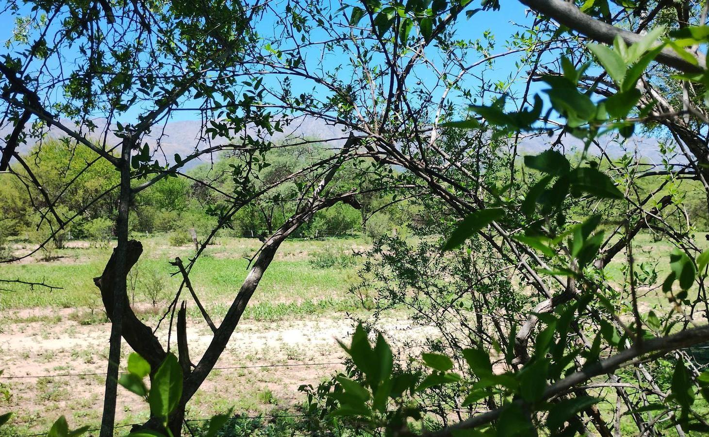 Foto de Venta Hermoso Lote de 2400 m2 con vista Increíble a las Sierras|, imagen 4