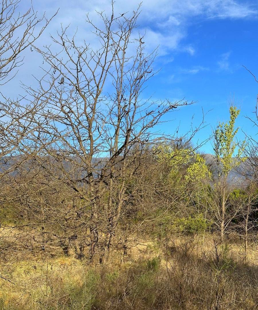 Foto de Venta Terreno en Altos de Nono | 1.900 m² | Escritura | Cerca del Río, imagen 4