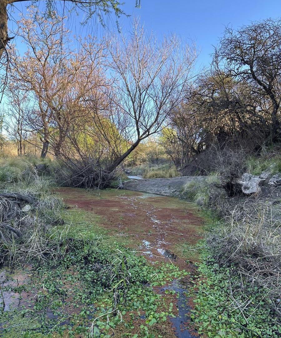 Foto de Fondo de Arroyo! Terreno de 4 Has en Venta en Mina Clavero | Frente, imagen 5