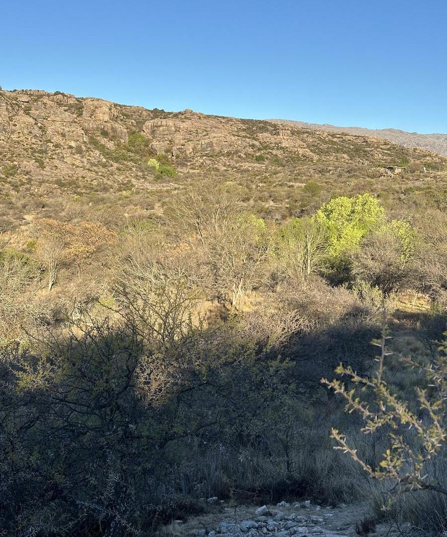 Foto de Fondo de Arroyo! Terreno de 4 Has en Venta en Mina Clavero | Frente, imagen 1