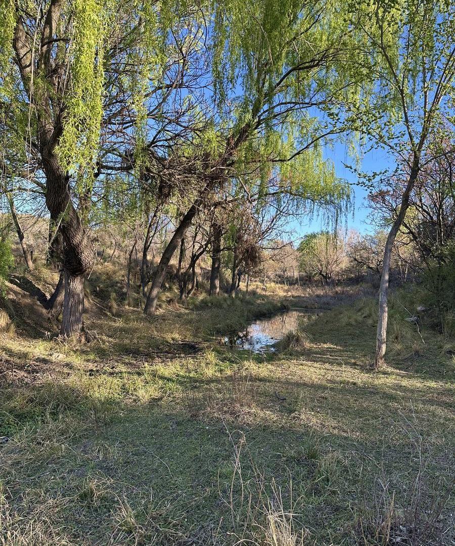 Foto de Fondo de Arroyo! Terreno de 4 Has en Venta en Mina Clavero | Frente, imagen 2