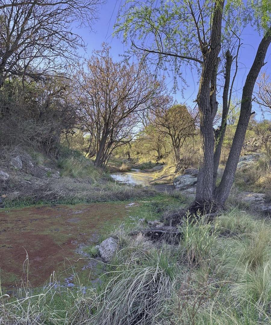 Foto de Fondo de Arroyo! Terreno de 4 Has en Venta en Mina Clavero | Frente, imagen 4
