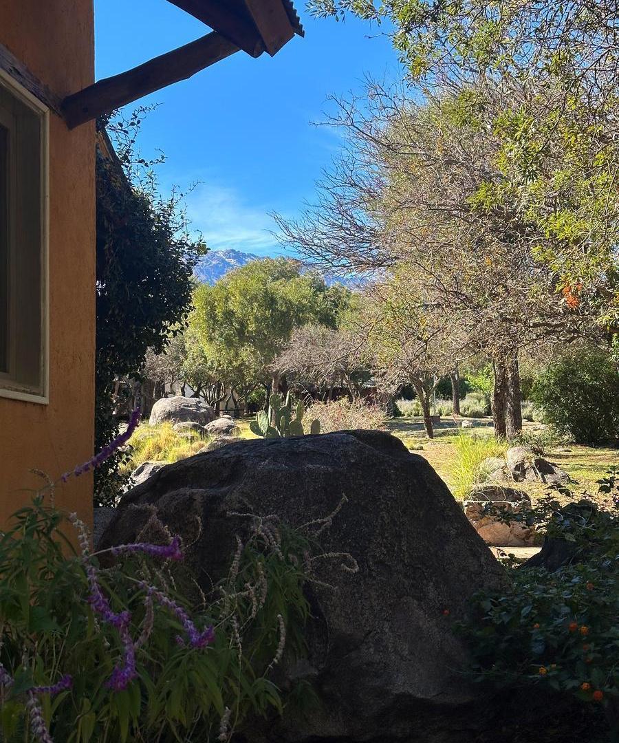 Foto de Eco Suite en Venta con Patio | Villa de Las Rosas | Escritura, imagen 4