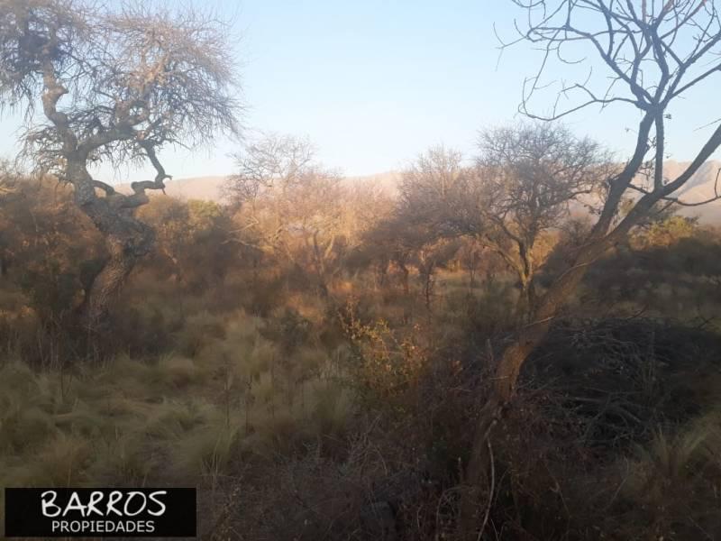 Foto de Terreno en venta en Las Calles, imagen 5