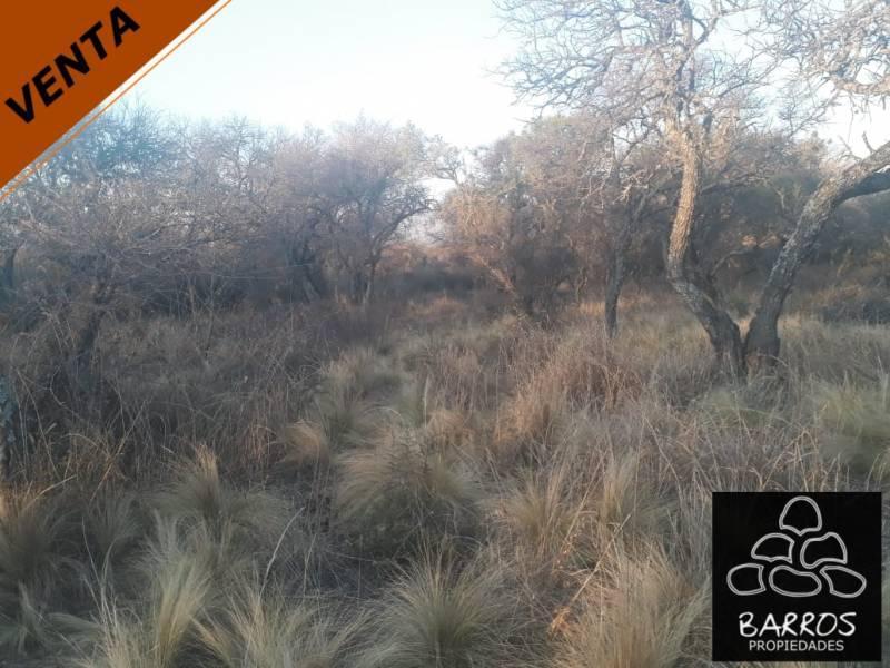 Foto de Terreno en venta en Las Calles, imagen 2