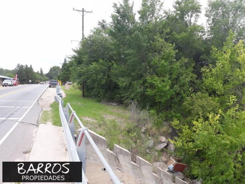 Foto de Terrenos en venta en Las Rabonas, imagen 4
