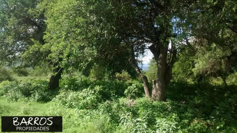 Foto de Terrenos en venta en Las Rabonas, imagen 3