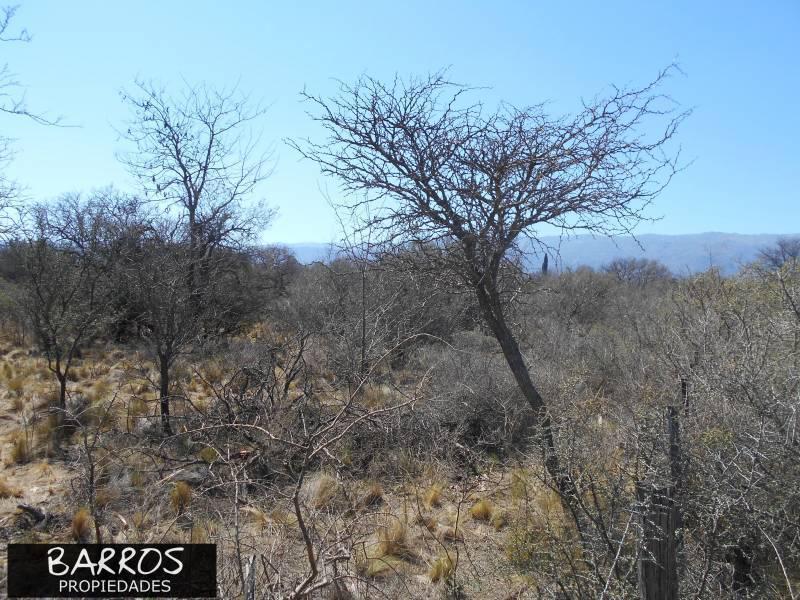 Foto de Terrenos en venta en Nono, imagen 4