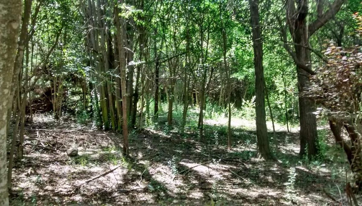 Foto de Terrenos en venta en Nono, imagen 4
