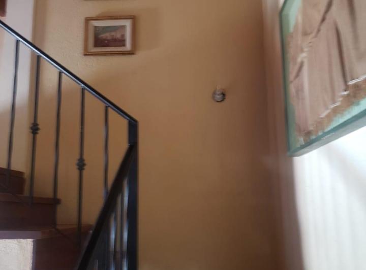Casa en alquiler temporal en Nono 2