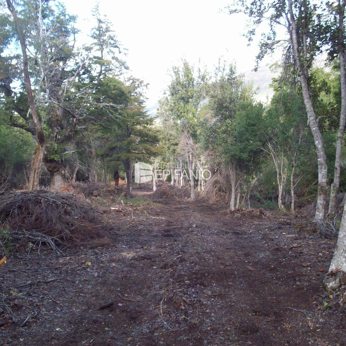 Venta - Reserva Natural en El Bolsón - R019 1