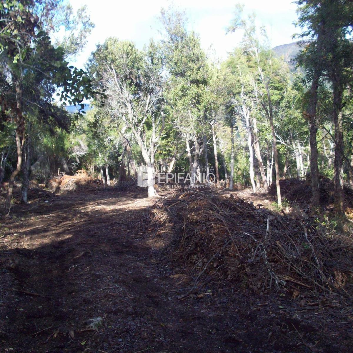 Venta - Reserva Natural en El Bolsón - R019 5