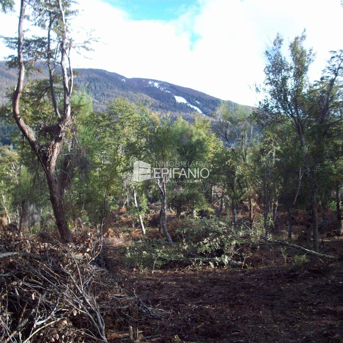 Venta - Reserva Natural en El Bolsón - R019 2