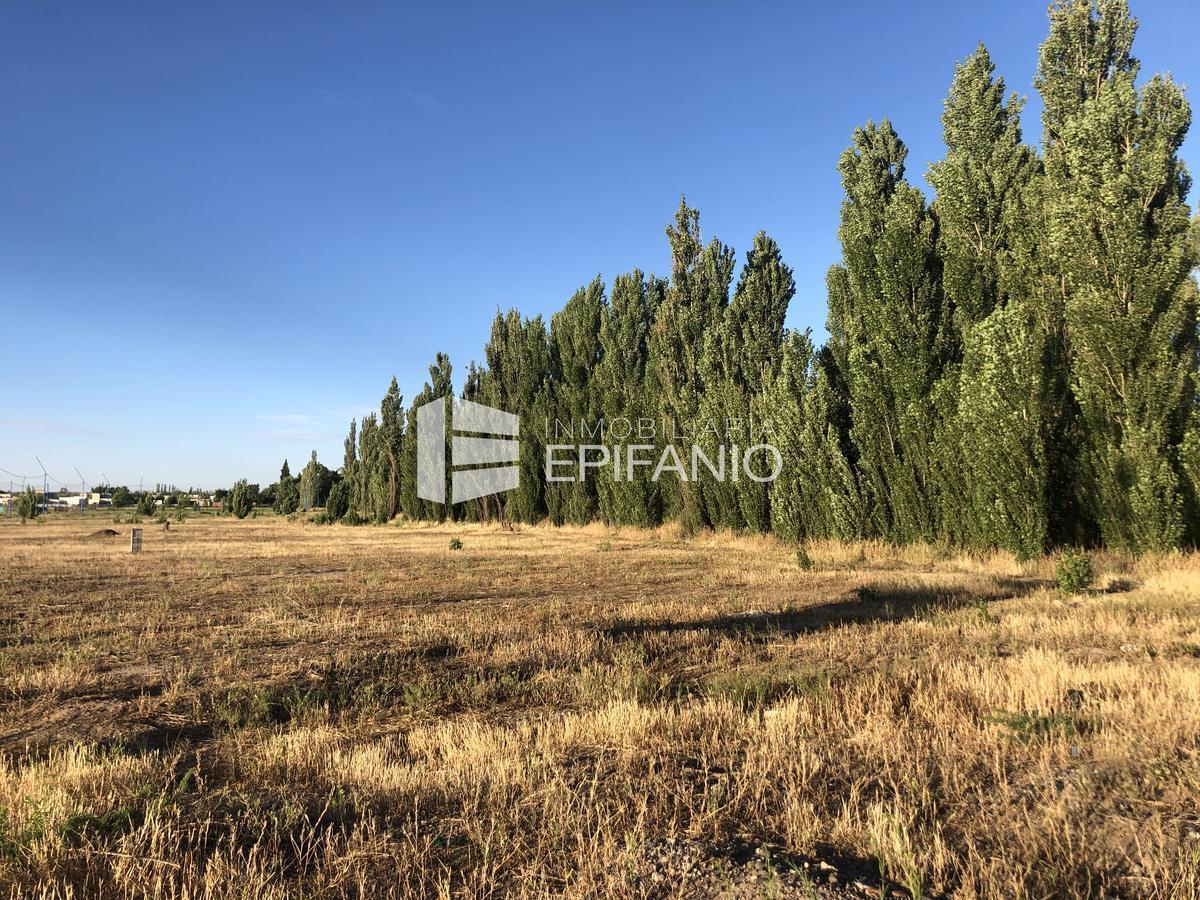Foto de Lotes - Venta - Barrio Vista Barda - Viterbori y Nahuel Huapi - T043, imagen 4