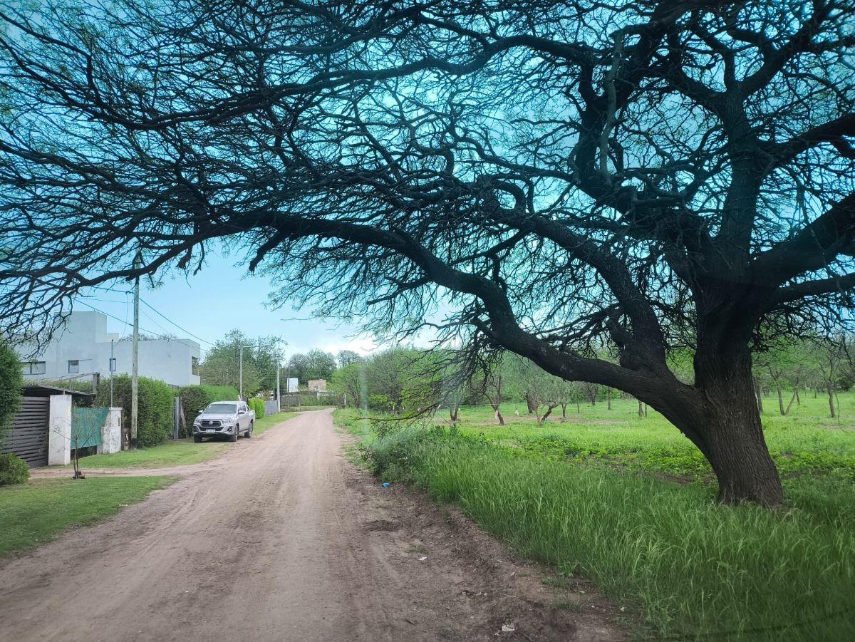 Foto de LA COROLINA Villa Warcalde, imagen 1