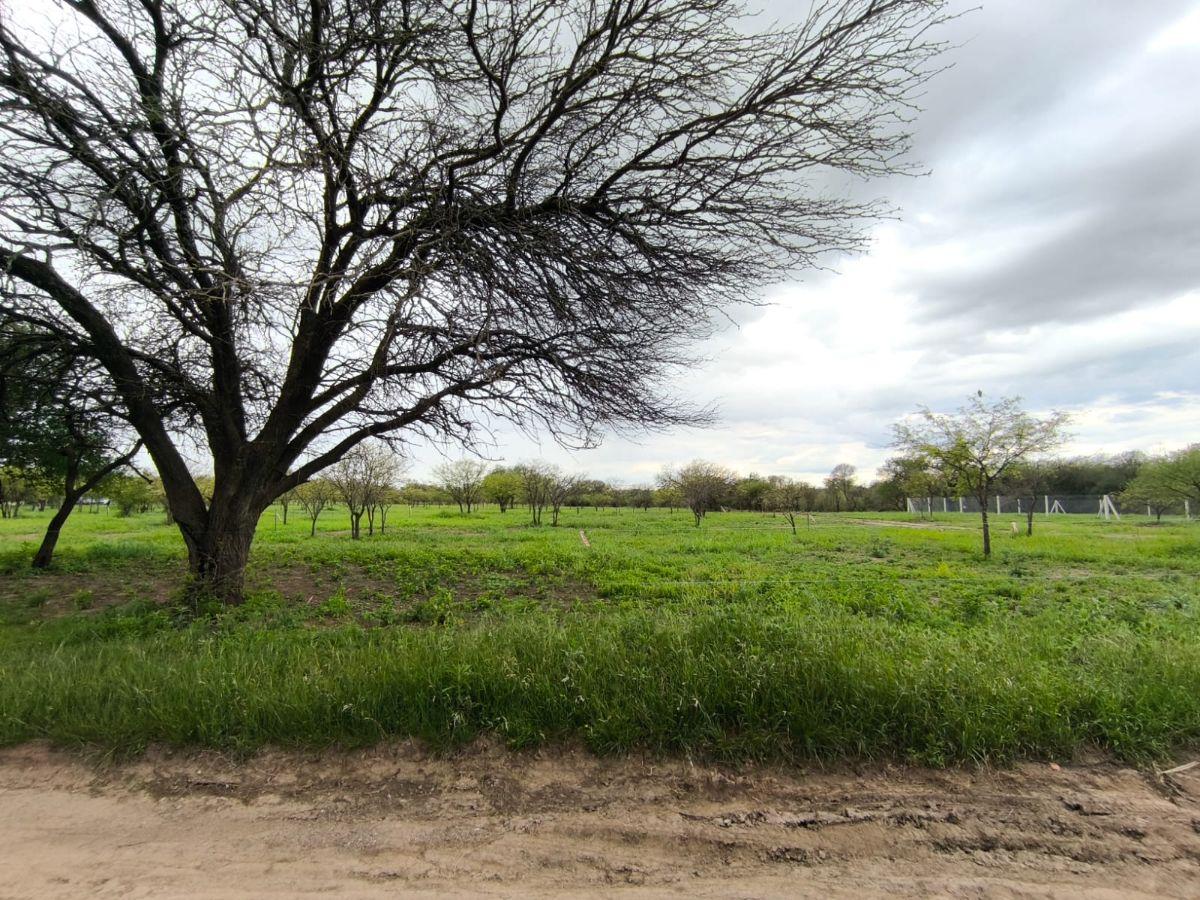 Foto de LA COROLINA Villa Warcalde, imagen 3