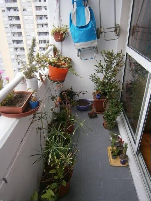 Departamento 2 Ambientes. | Rucci 250 3
