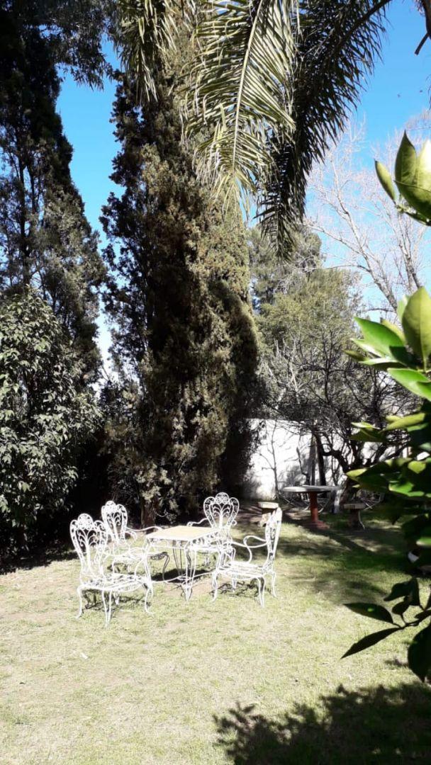 Foto de Quinta . | Mariano Moreno 634, imagen 3