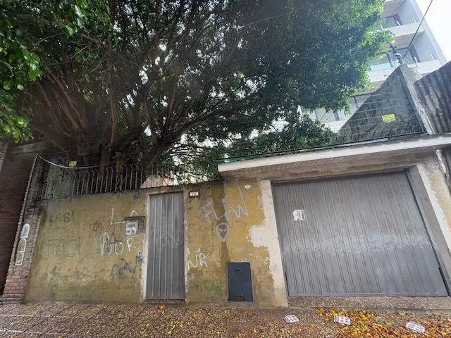 Lote . | Alvear 321 1