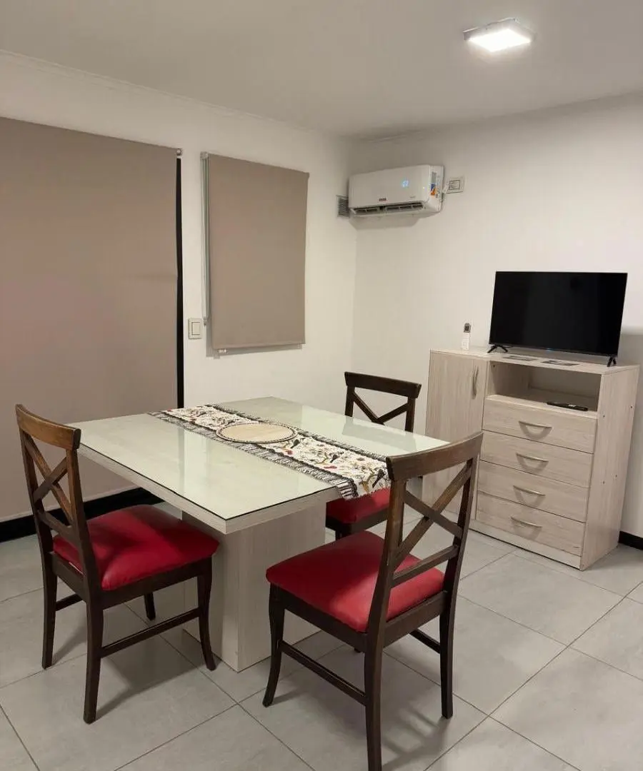 AMOBLADO! 1 DOR + BALCON TERRAZA 30 M2 2