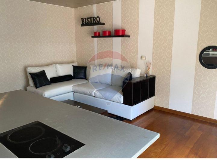 APARTAMENTO 1 DORMITORIO ALQUILER PUNTA CARRETAS 3