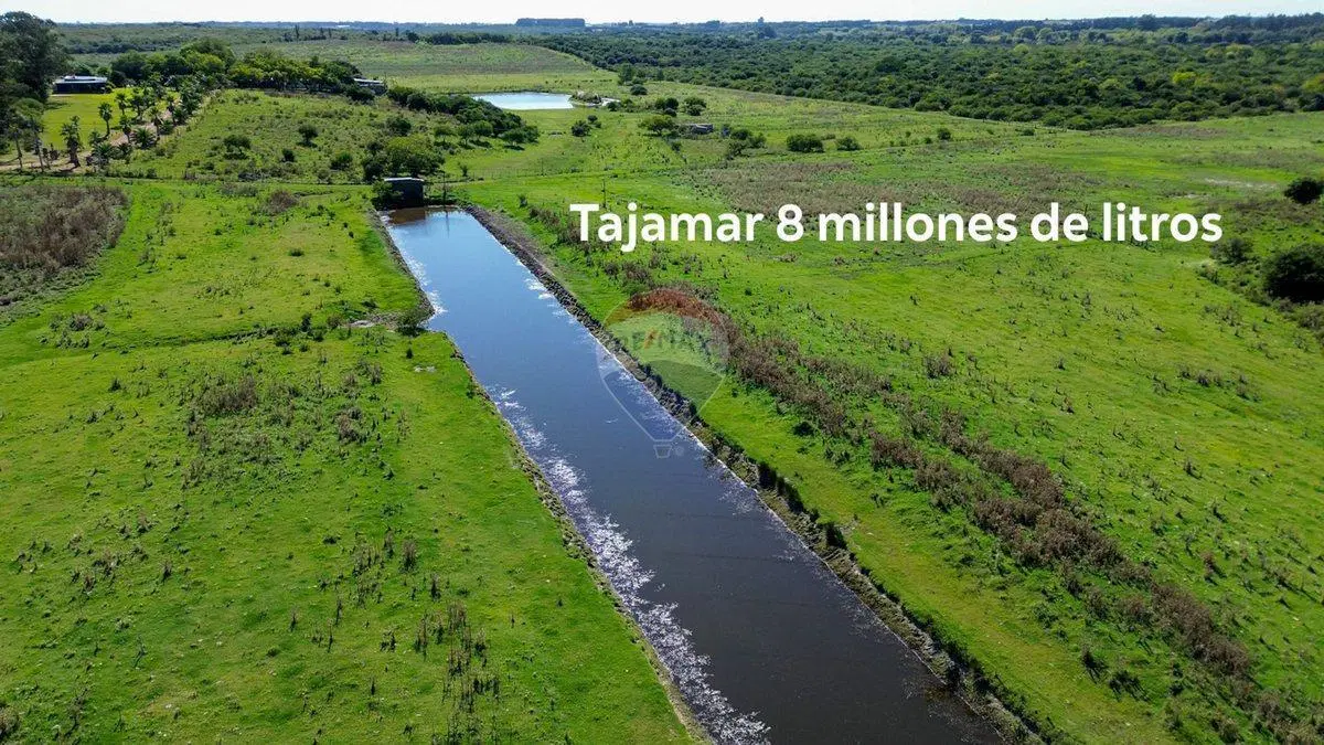 VENTA DE CAMPOS CHACRA, EN LAS BRUJAS, CERRILLOS 5