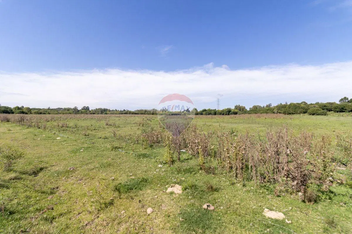 VENTA DE CAMPOS CHACRA, EN LAS BRUJAS, CERRILLOS 2
