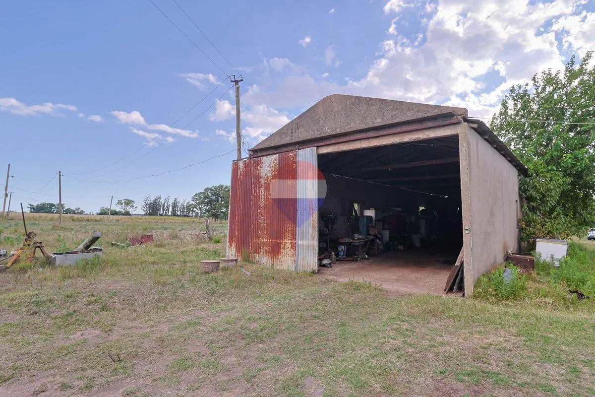 Venta CAMPO, Tala con casa y galpón 4