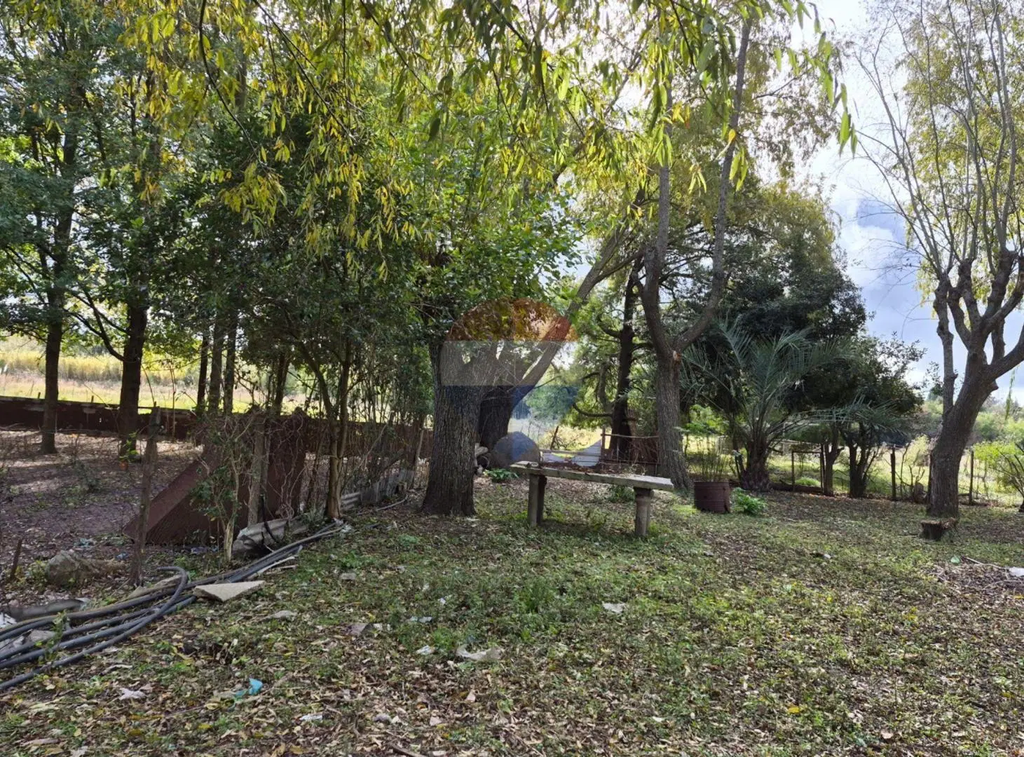 VENTA TERRENO DE 2.24 HECTÁREAS CON 2 VIVIENDAS!! 5