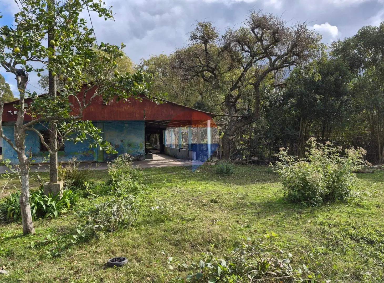 VENTA TERRENO DE 2.24 HECTÁREAS CON 2 VIVIENDAS!! 3