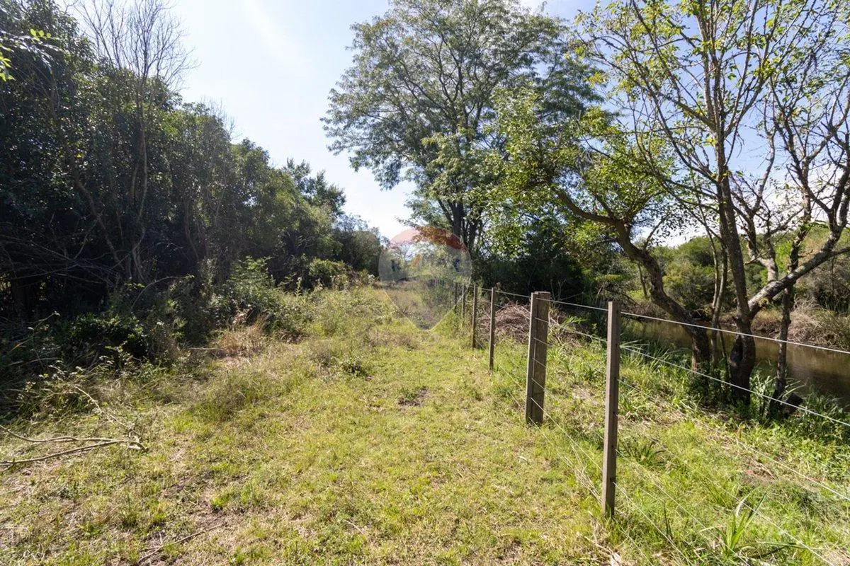 VENTA DE CAMPOS CHACRA, EN LAS BRUJAS, CERRILLOS 4