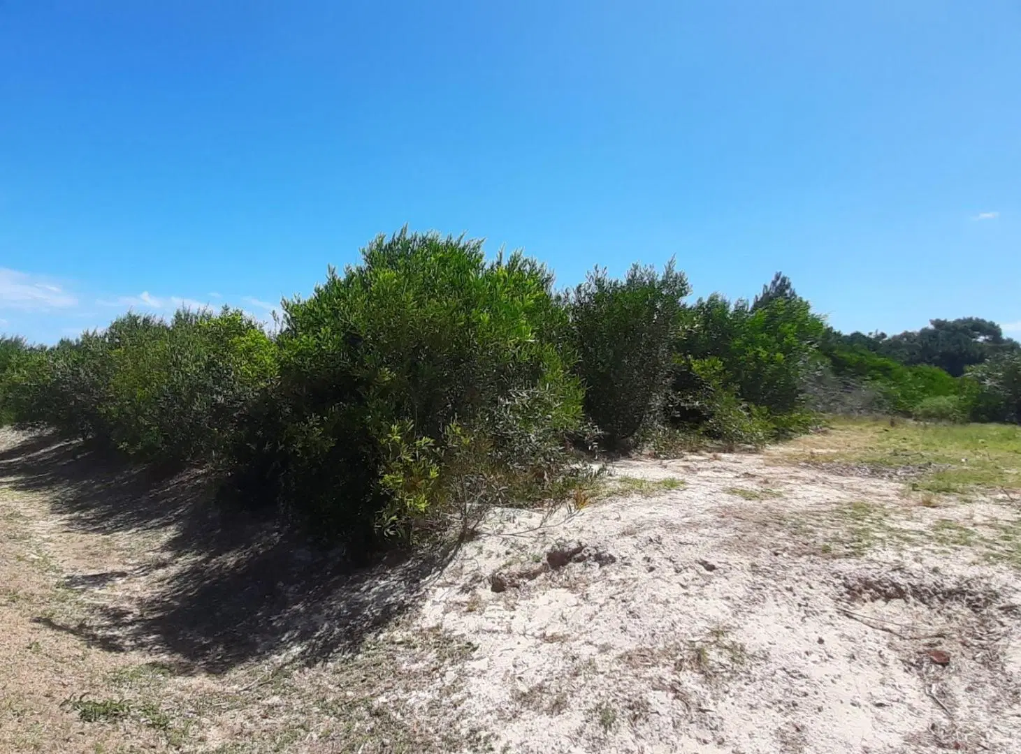 VENTA LOTE19 EN COMPLEJO PRIVADO JAUREGUIBERRY SUR 4