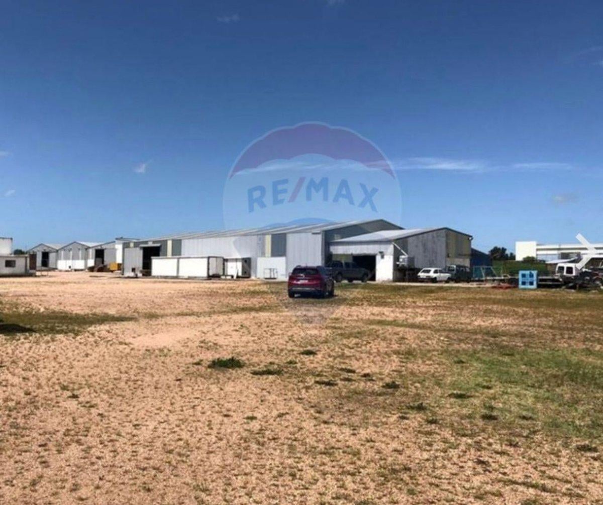 VENTA PREDIO LOGISTICO CON RENTA 7 HÁS Y GALPONES