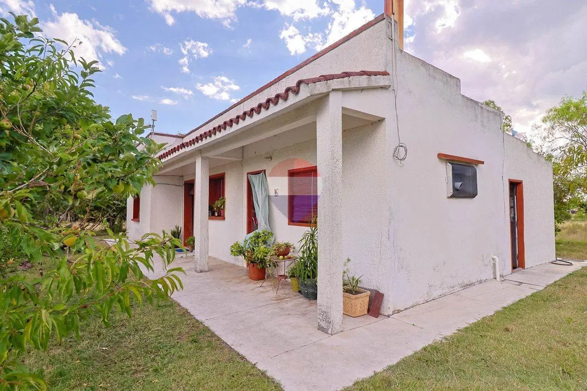 Venta CAMPO, Tala con casa y galpón 3