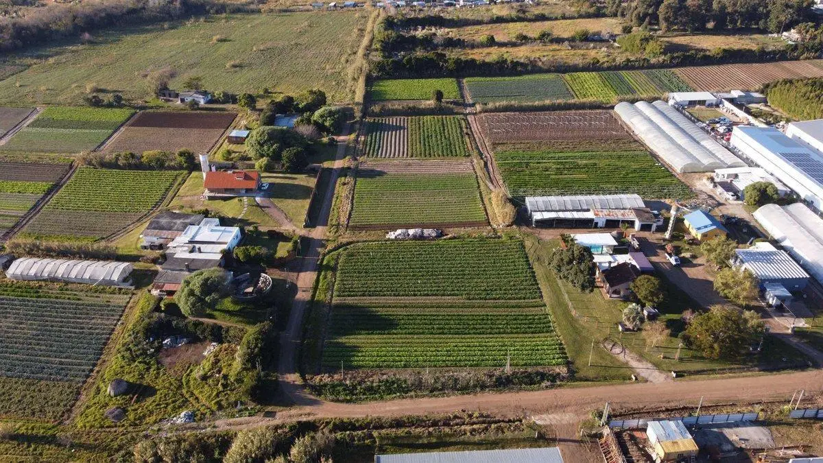 OPORTUNIDAD 900 MT TERRENO SAN JOSE CARRASCO 4