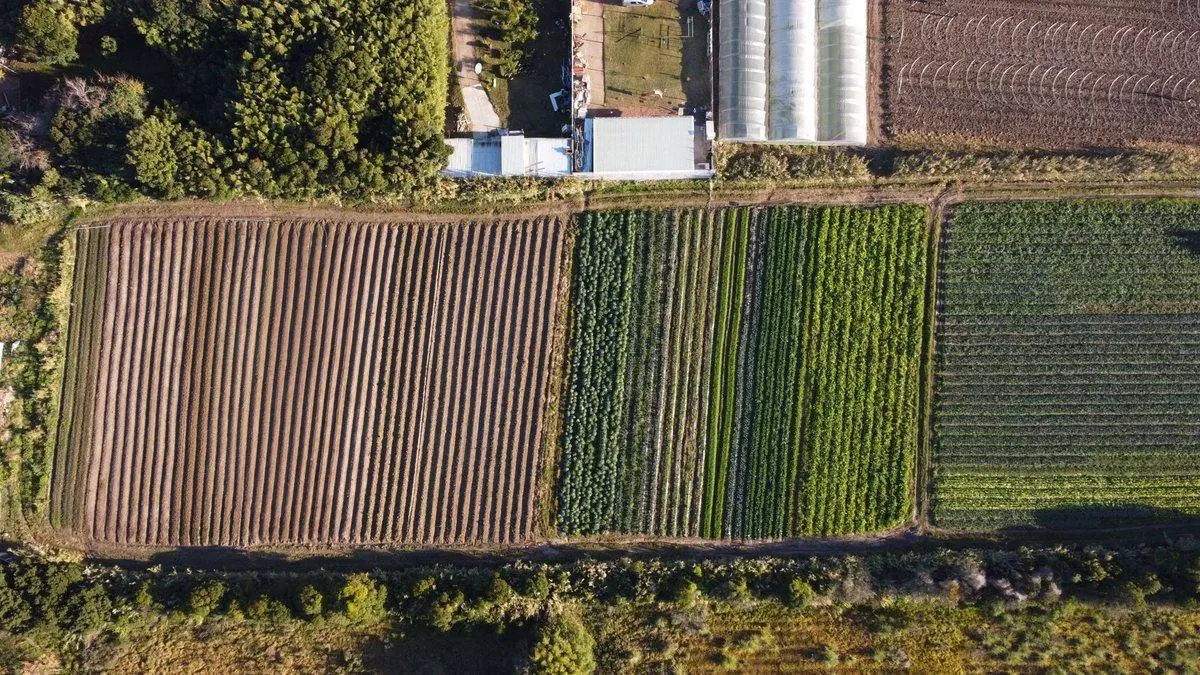 OPORTUNIDAD 900 MT TERRENO SAN JOSE CARRASCO 2