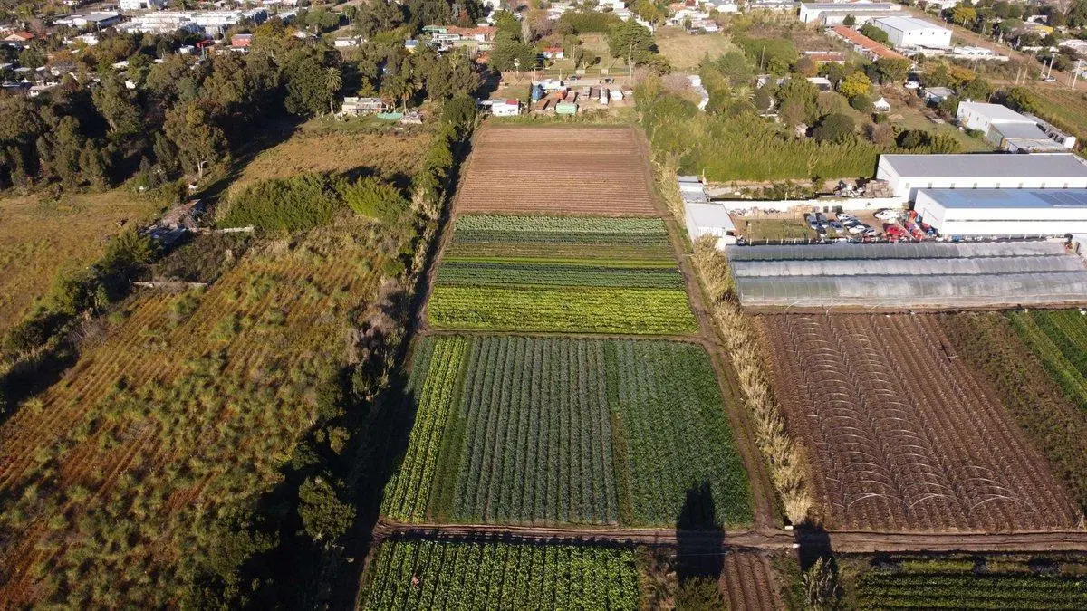 OPORTUNIDAD 900 MT TERRENO SAN JOSE CARRASCO 3