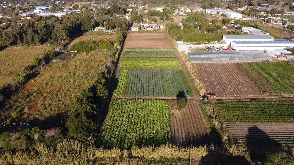 VENTA DE TERRENOS DE 900 MTS.  SAN JOSE CARRASCO 3