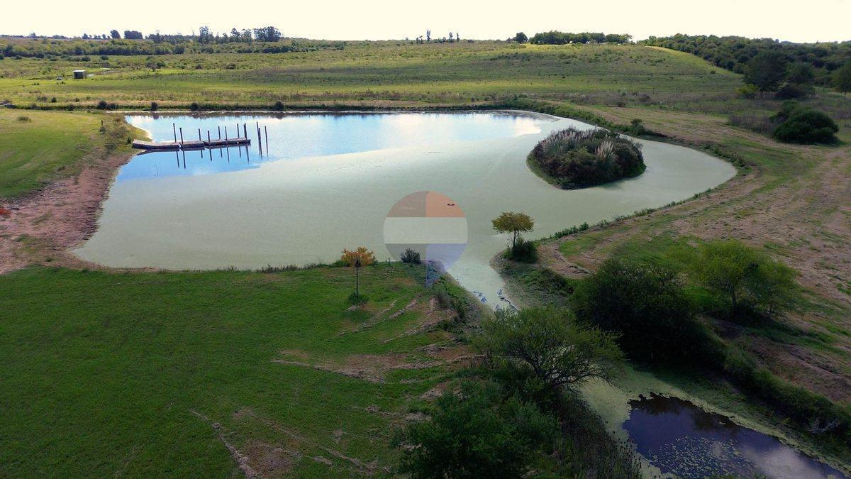 Foto de VENTA DE CHACRA , CASAS Y CAMPOS EN LAS BRUJAS, imagen 4